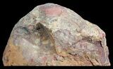 Polished Brecciated Chert Section - Australia #65431-1